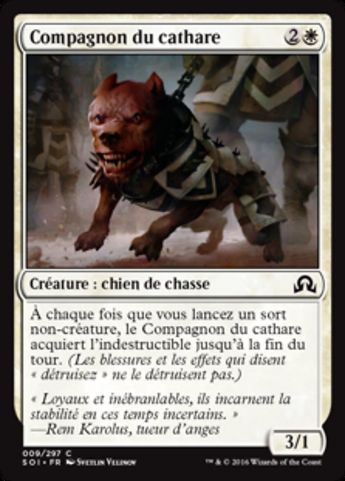 image Compagnon du cathare