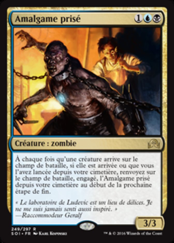 image Amalgame prisé