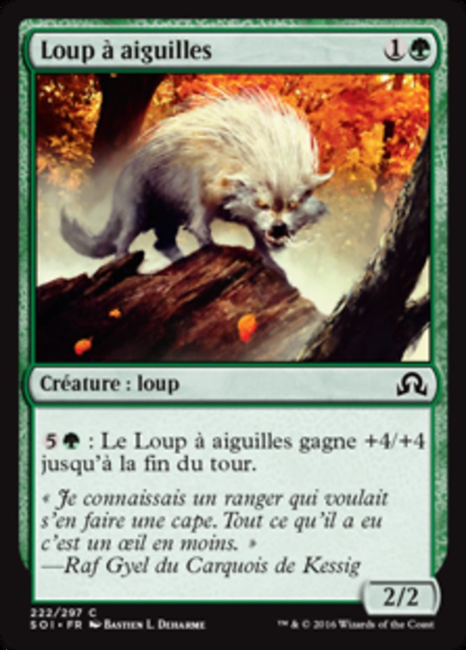 image Loup à aiguilles