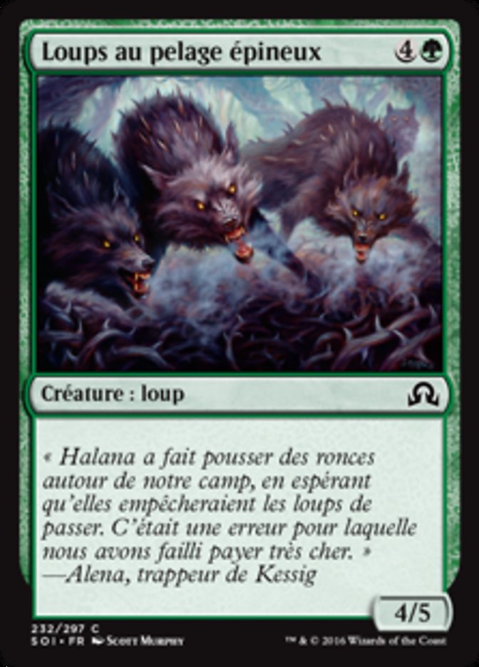 image Loups au pelage épineux