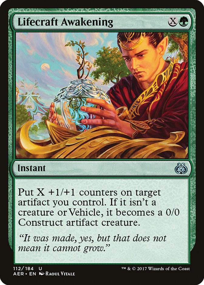 image Lifecraft Awakening
