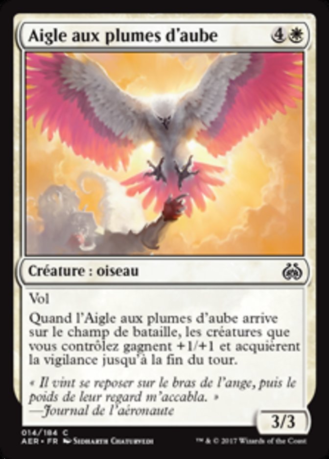 image Aigle aux plumes d'aube