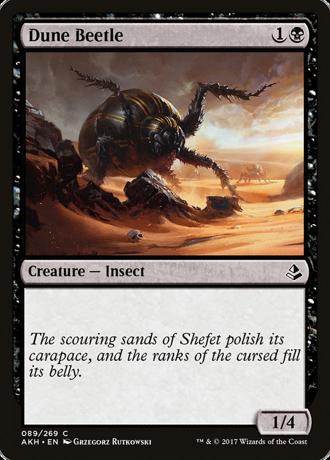 image Dune Beetle