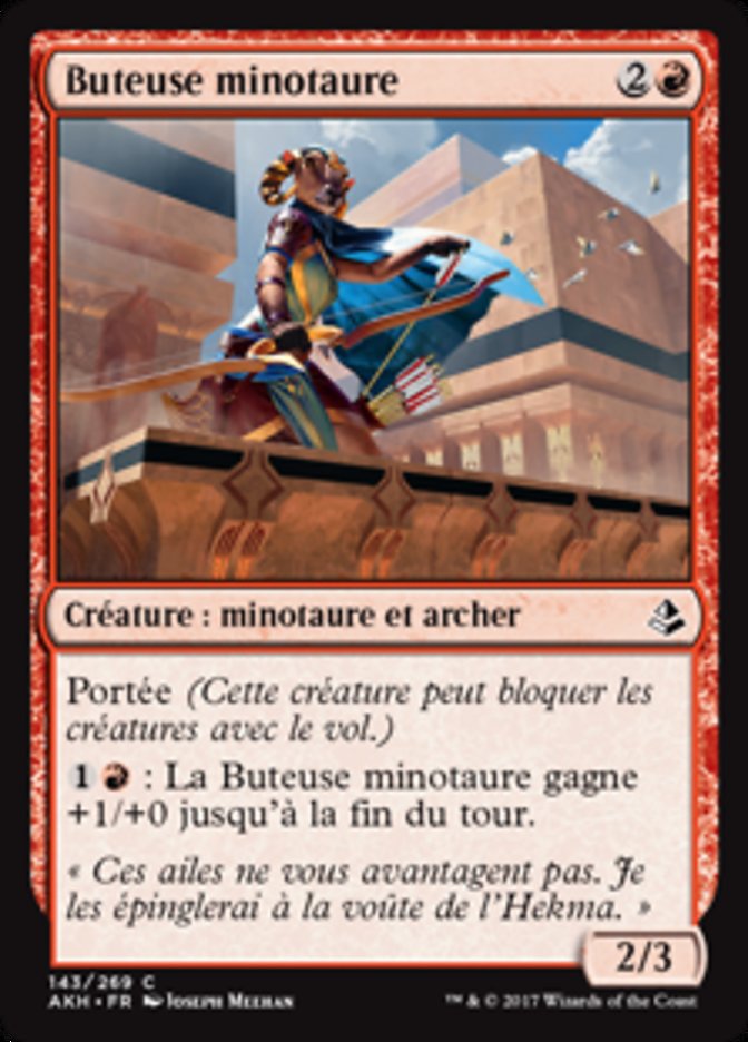 image Buteuse minotaure