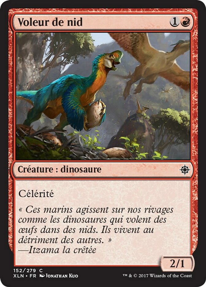 image Voleur de nid