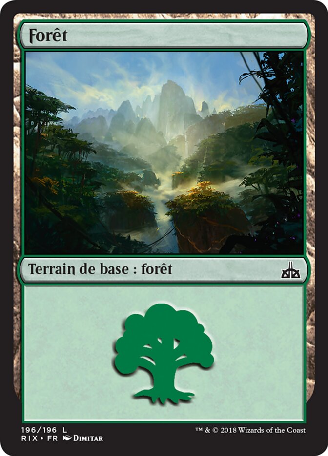 image Forêt