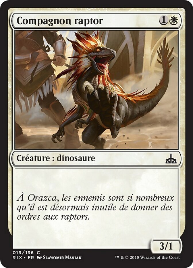 image Compagnon raptor