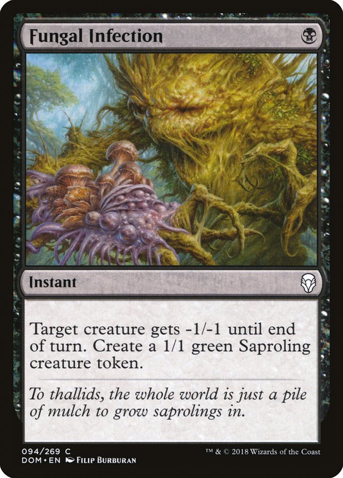 image Fungal Infection