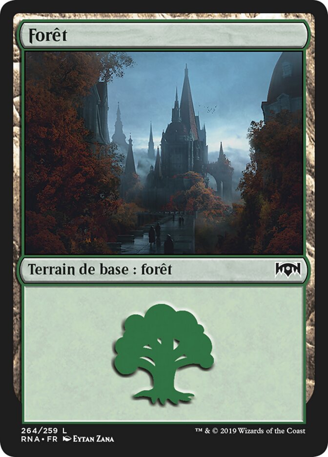 image Forêt