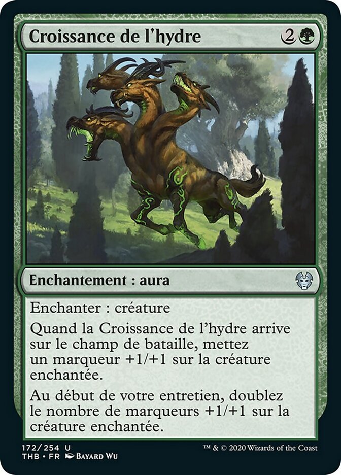 image Croissance de l'hydre