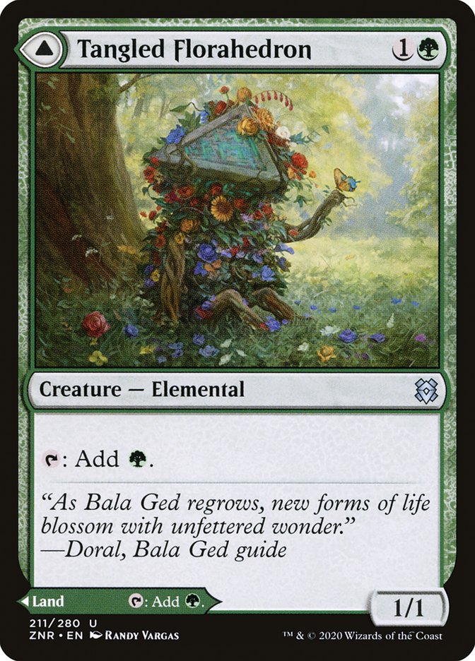image Tangled Florahedron // Tangled Vale