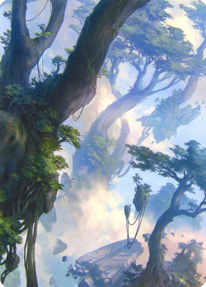image Forest // Forest