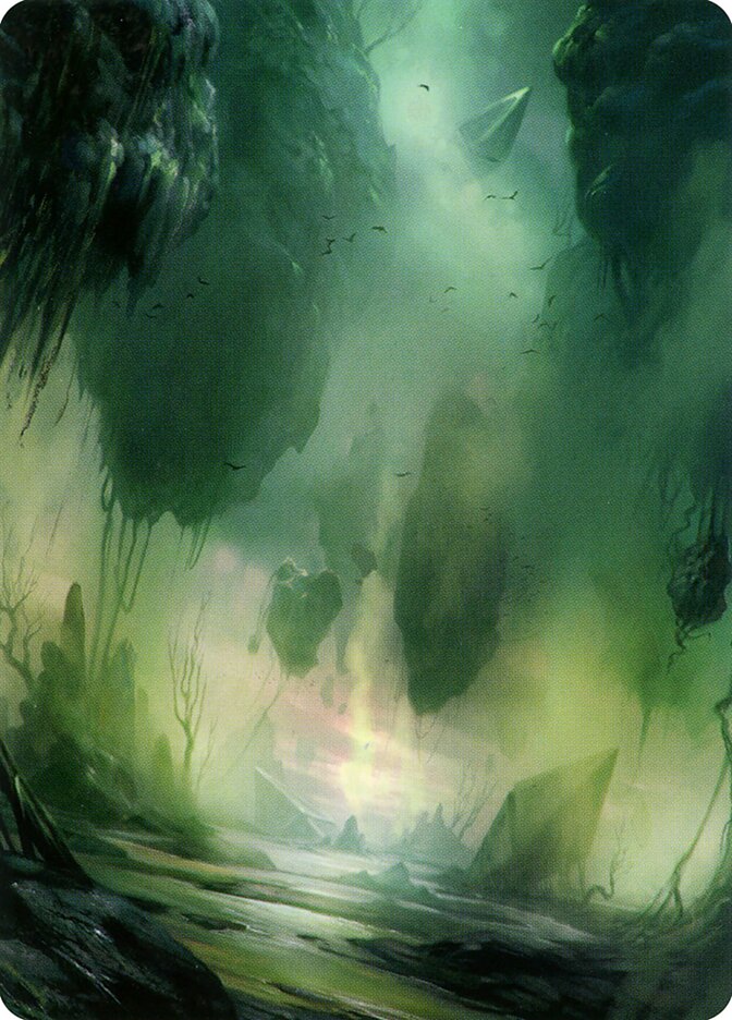 image Swamp // Swamp