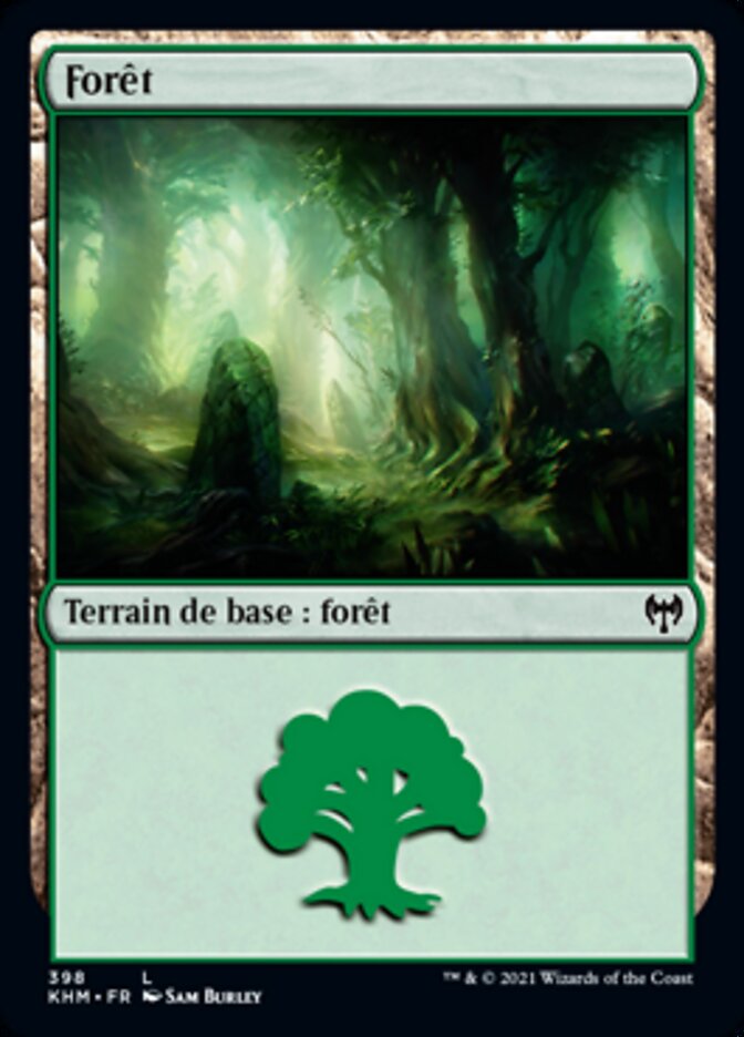 image Forêt