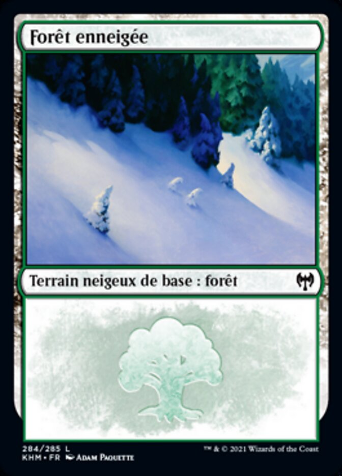 image Forêt enneigée