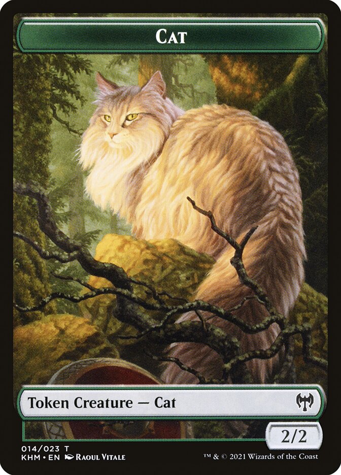 image Cat
