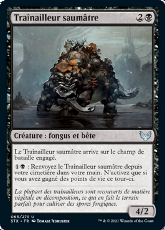 image Traînailleur saumâtre