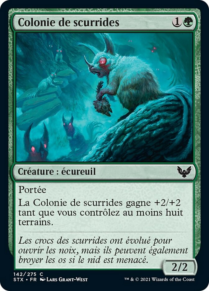 image Colonie de scurrides