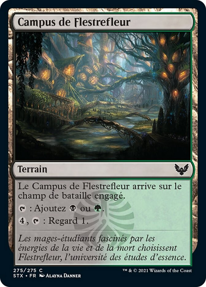 image Campus de Flestrefleur