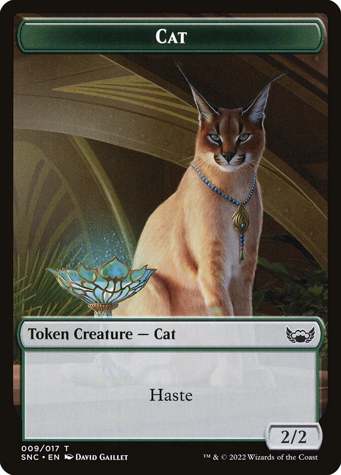 image Cat