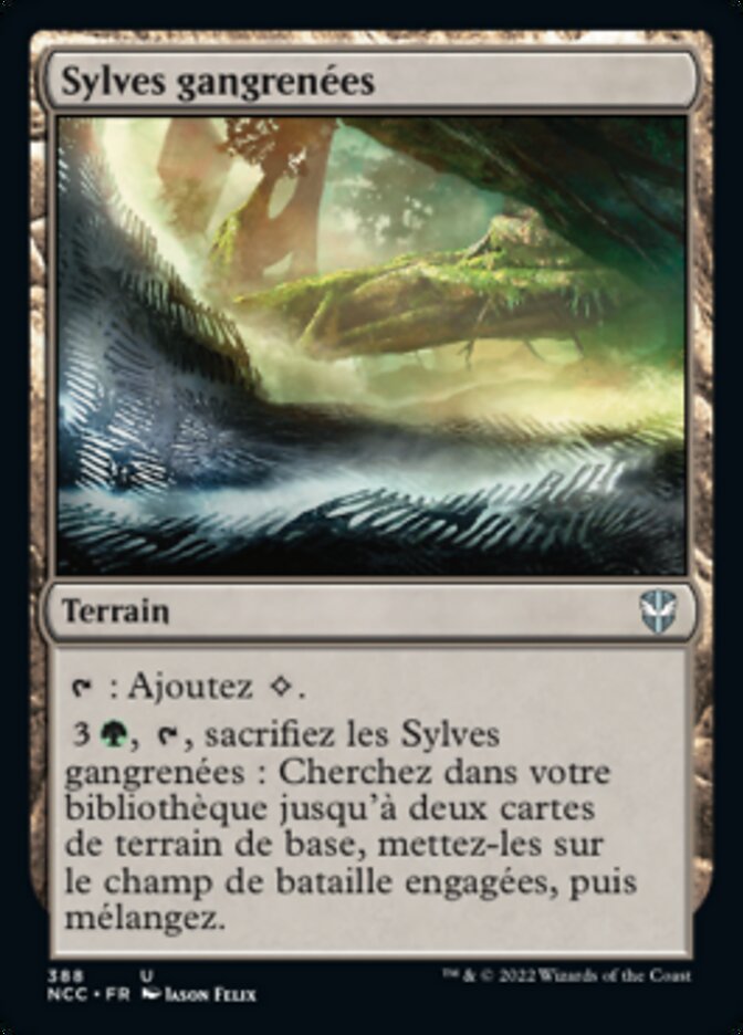 image Sylves gangrenées