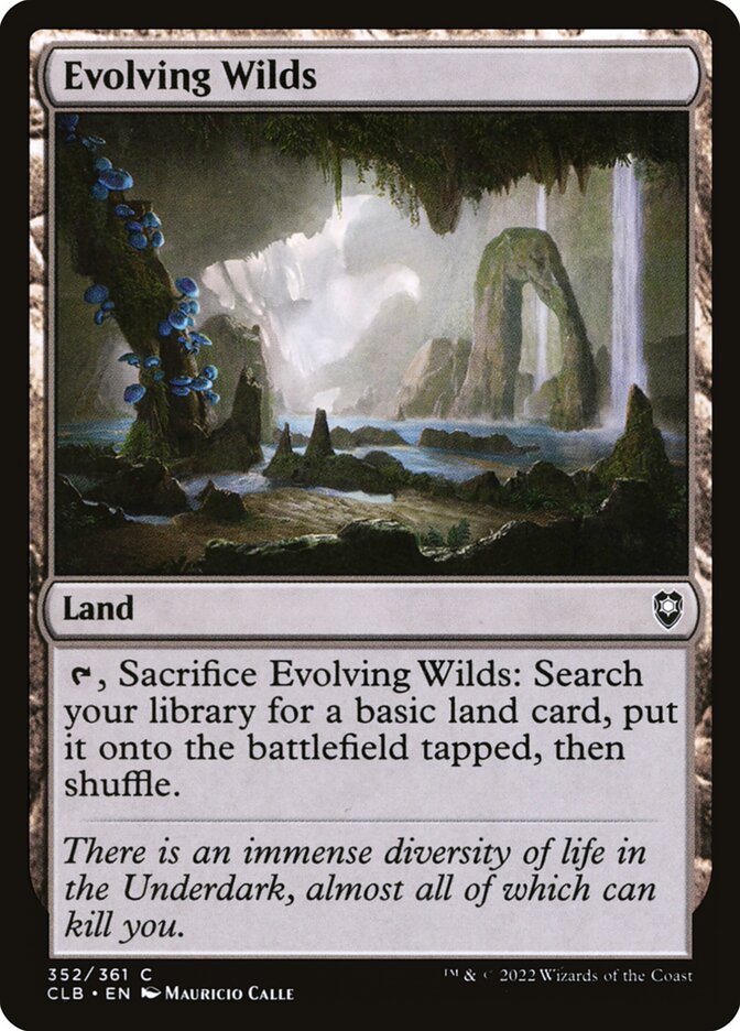 image Evolving Wilds