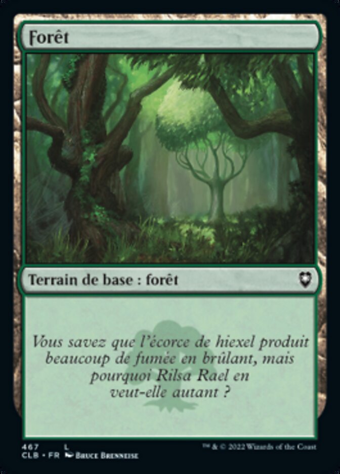 image Forêt