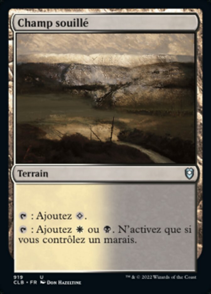 image Champ souillé