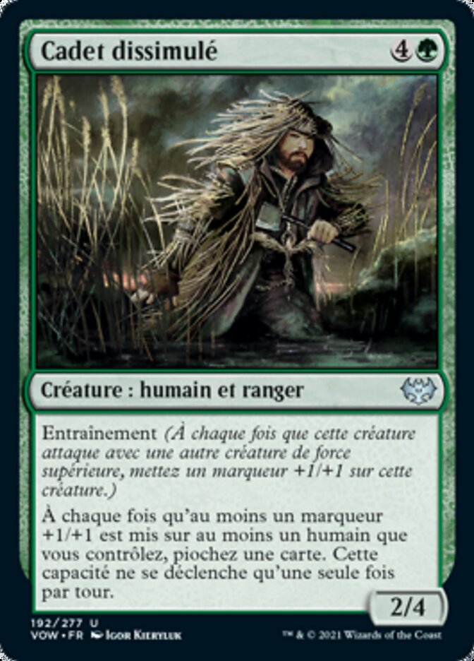 image Cadet dissimulé