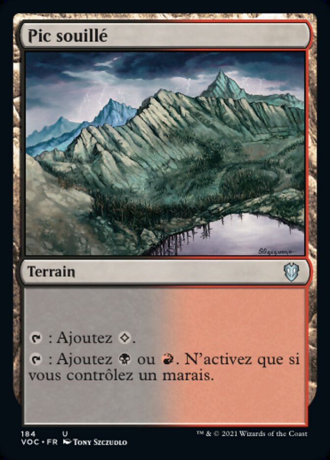 image Pic souillé