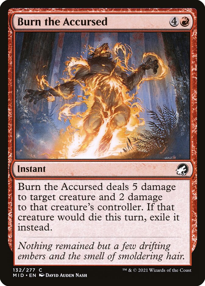 image Burn the Accursed