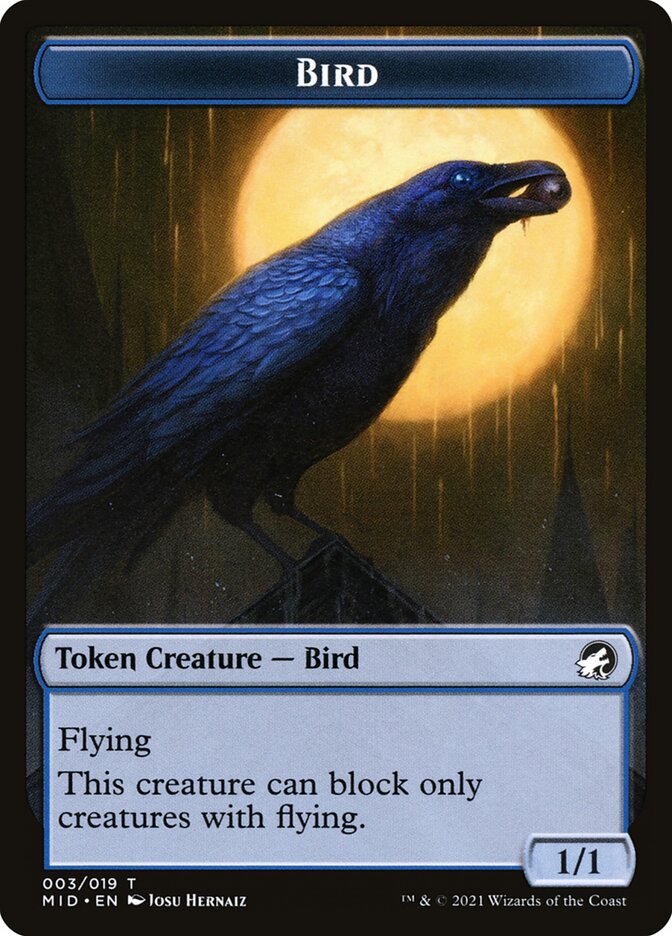 image Bird