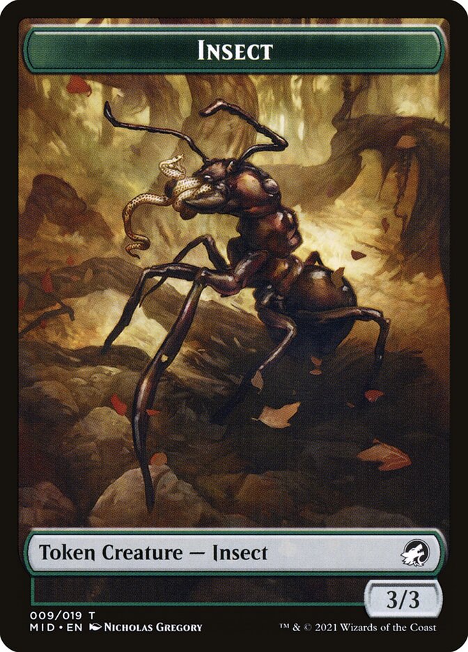 image Insect