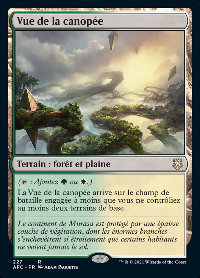 image Vue de la canopée