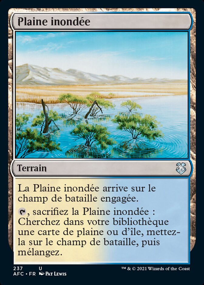 image Plaine inondée