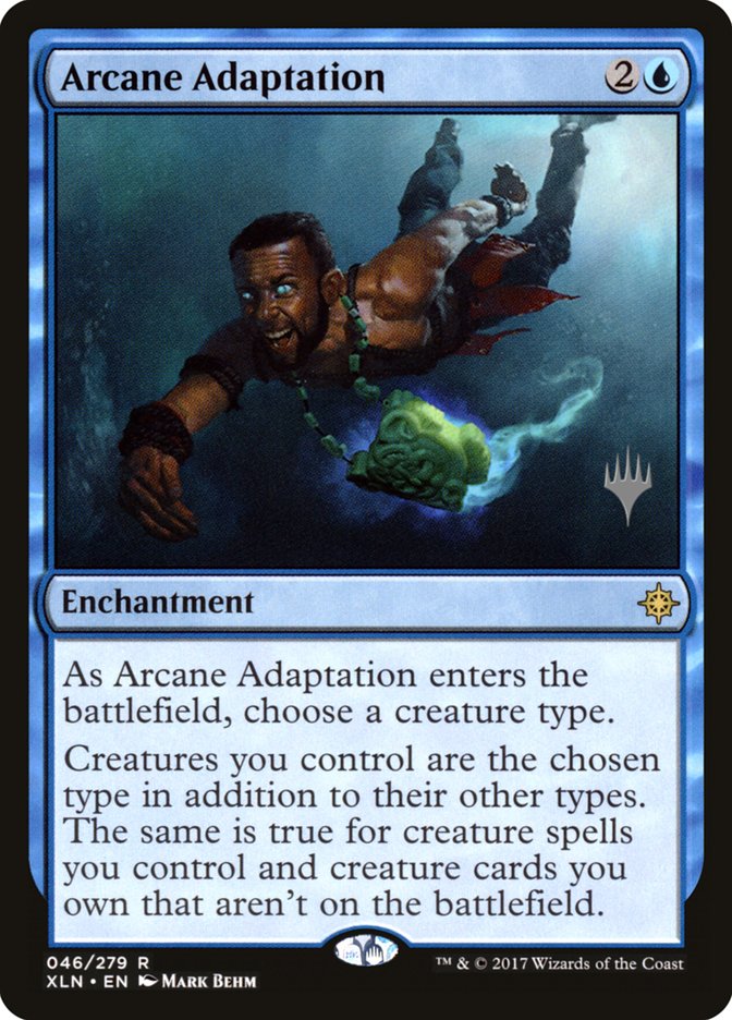image Arcane Adaptation