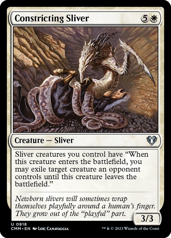 image Constricting Sliver