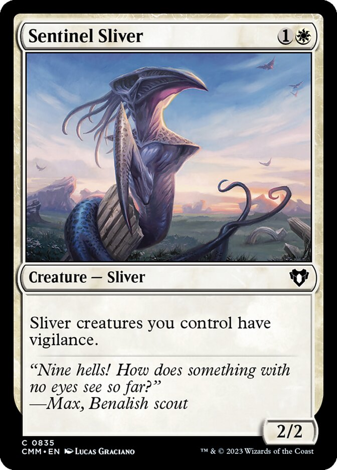 image Sentinel Sliver