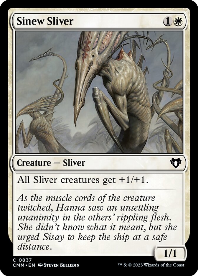 image Sinew Sliver