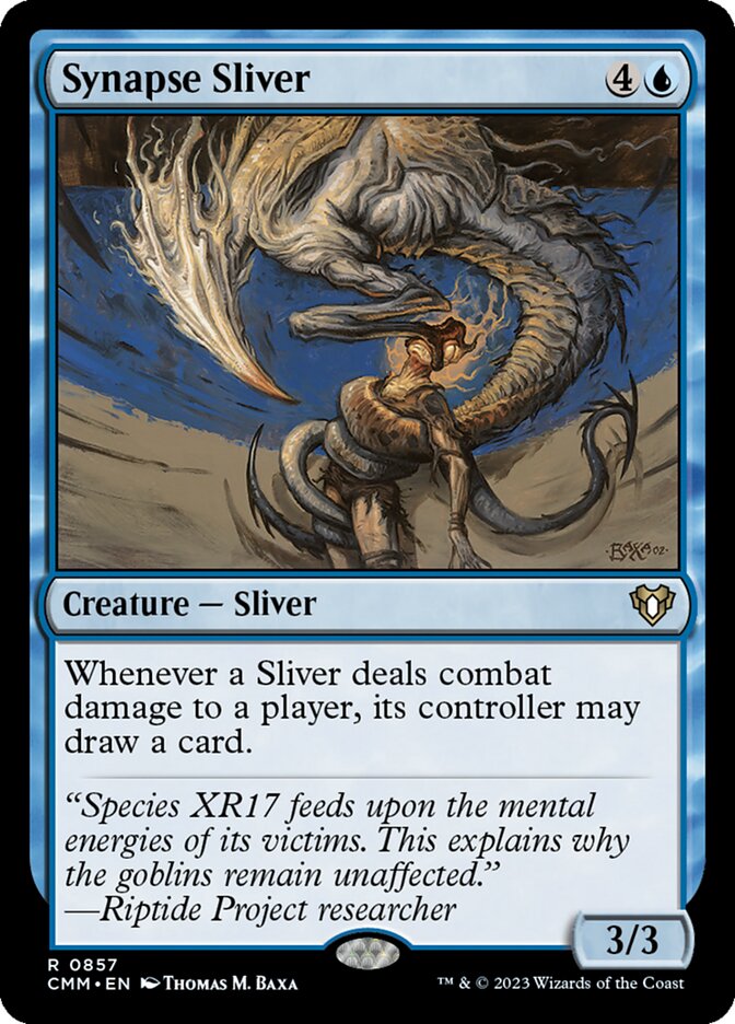 image Synapse Sliver