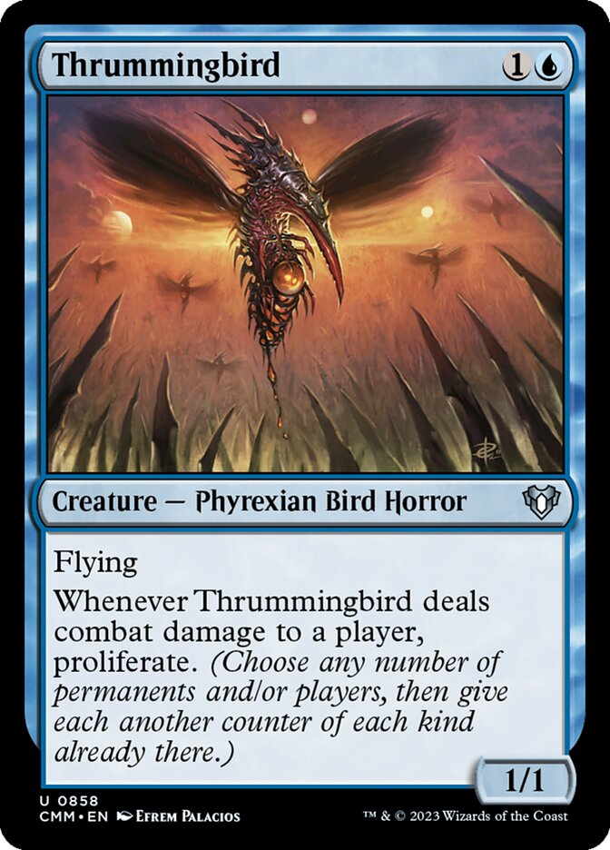 image Thrummingbird
