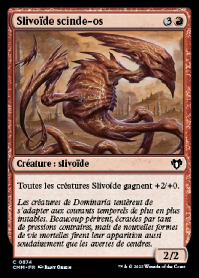 image Slivoïde scinde-os