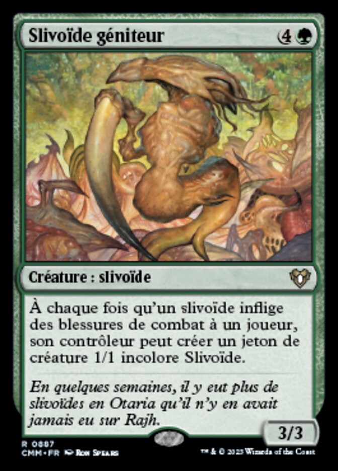 image Slivoïde géniteur