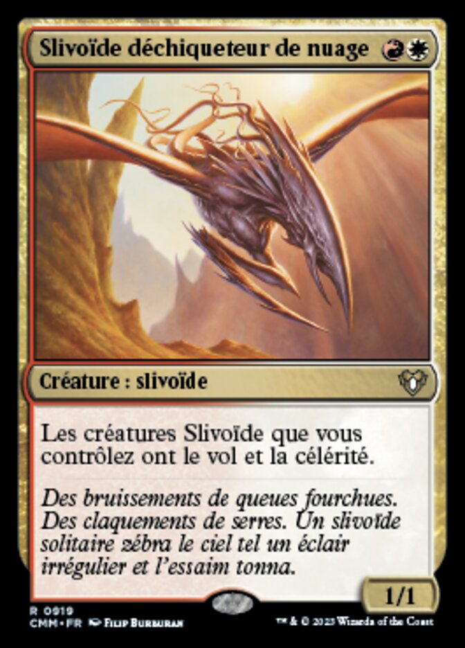image Slivoïde déchiqueteur de nuage