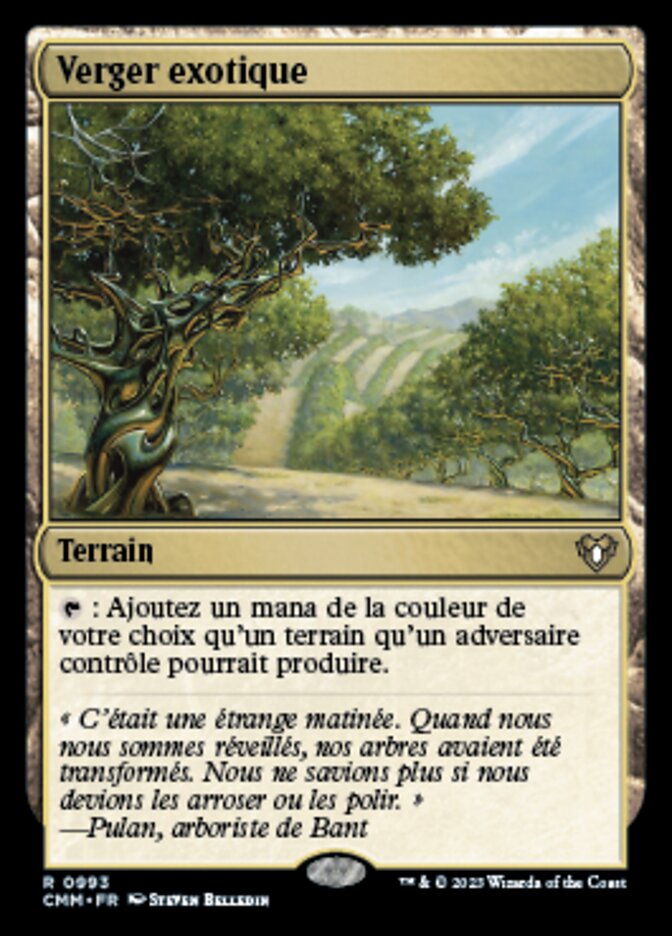 image Verger exotique