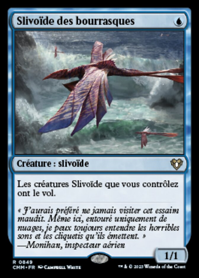 image Slivoïde des bourrasques