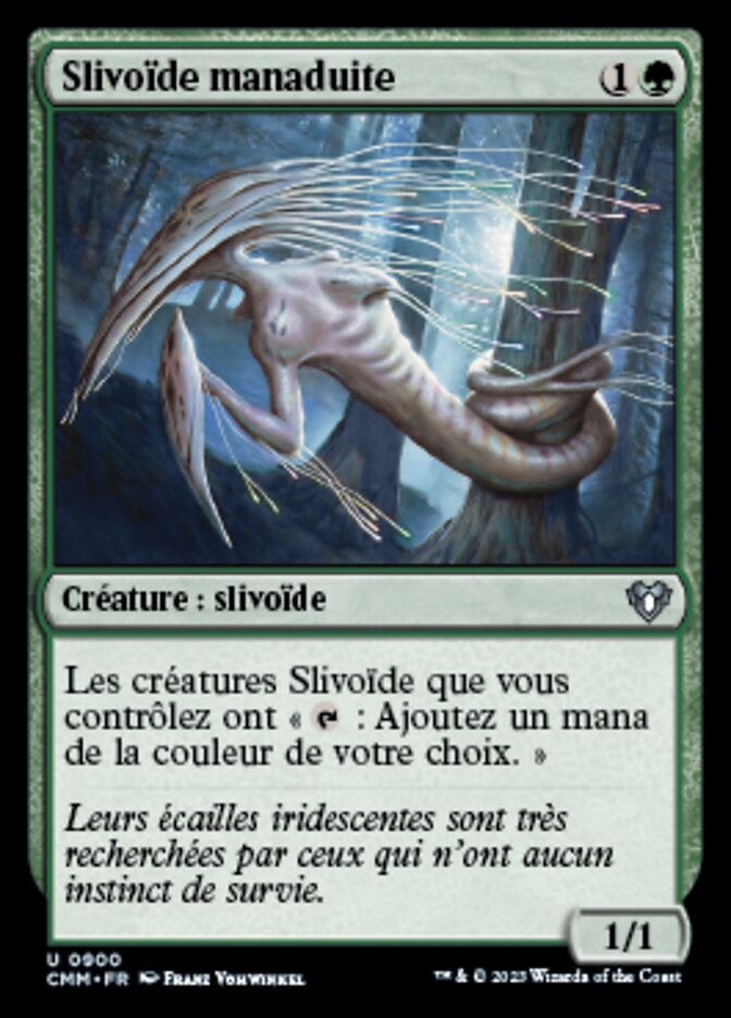 image Slivoïde manaduite