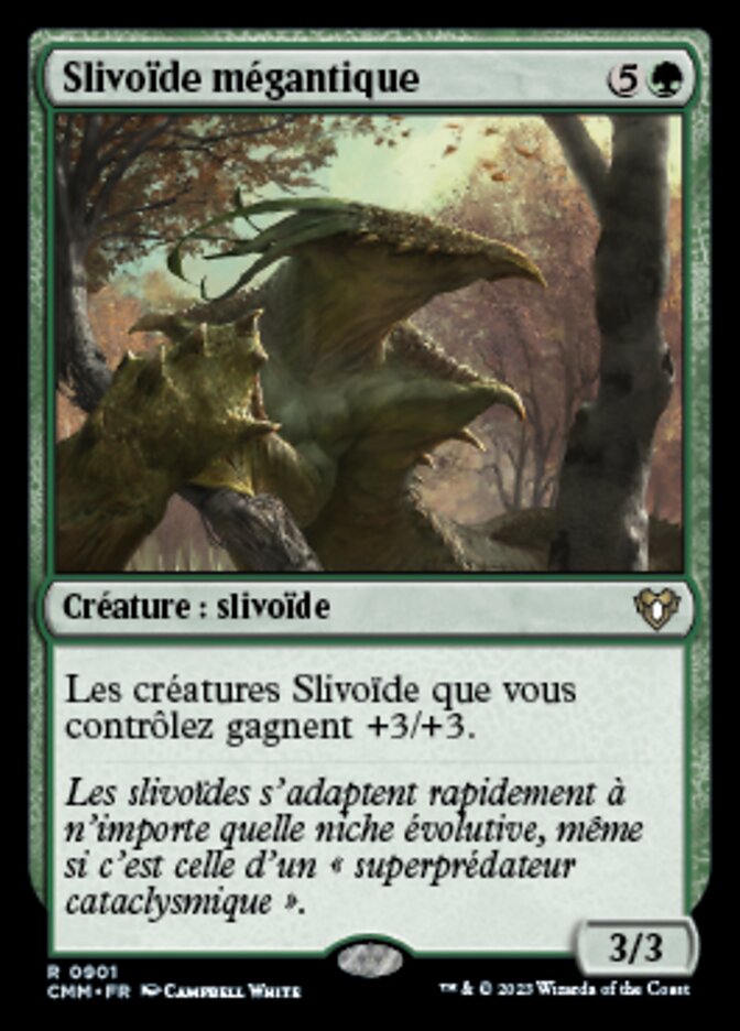 image Slivoïde mégantique