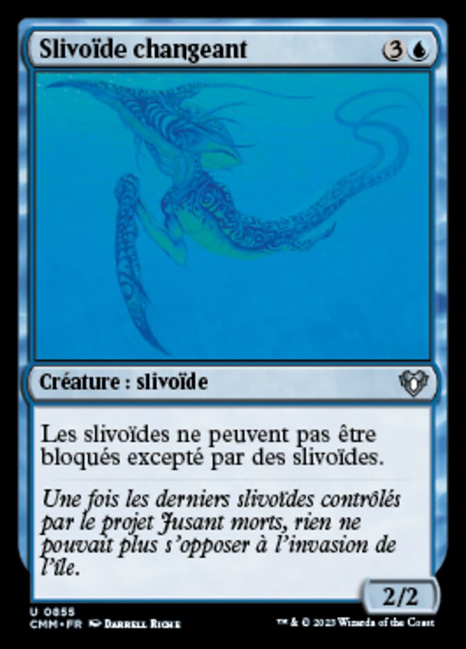 image Slivoïde changeant