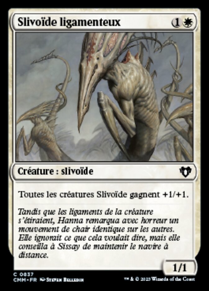 image Slivoïde ligamenteux